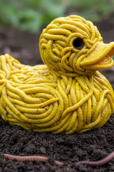 Hyper-realistic surreal Yellow Rubber Duck composed of earthworms
